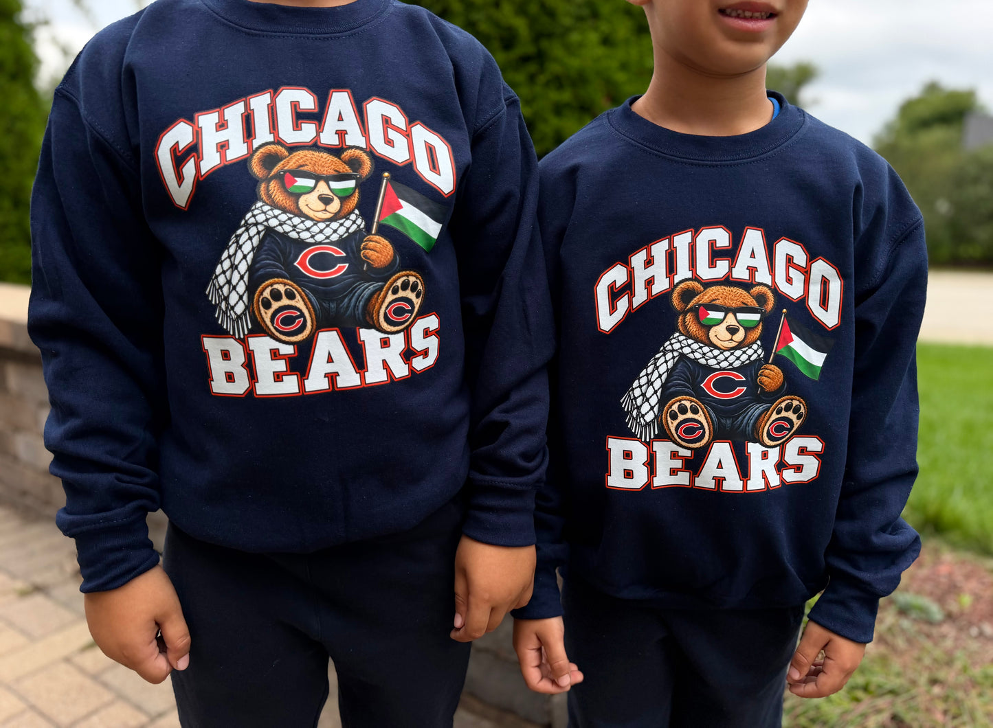Bears Hoodie