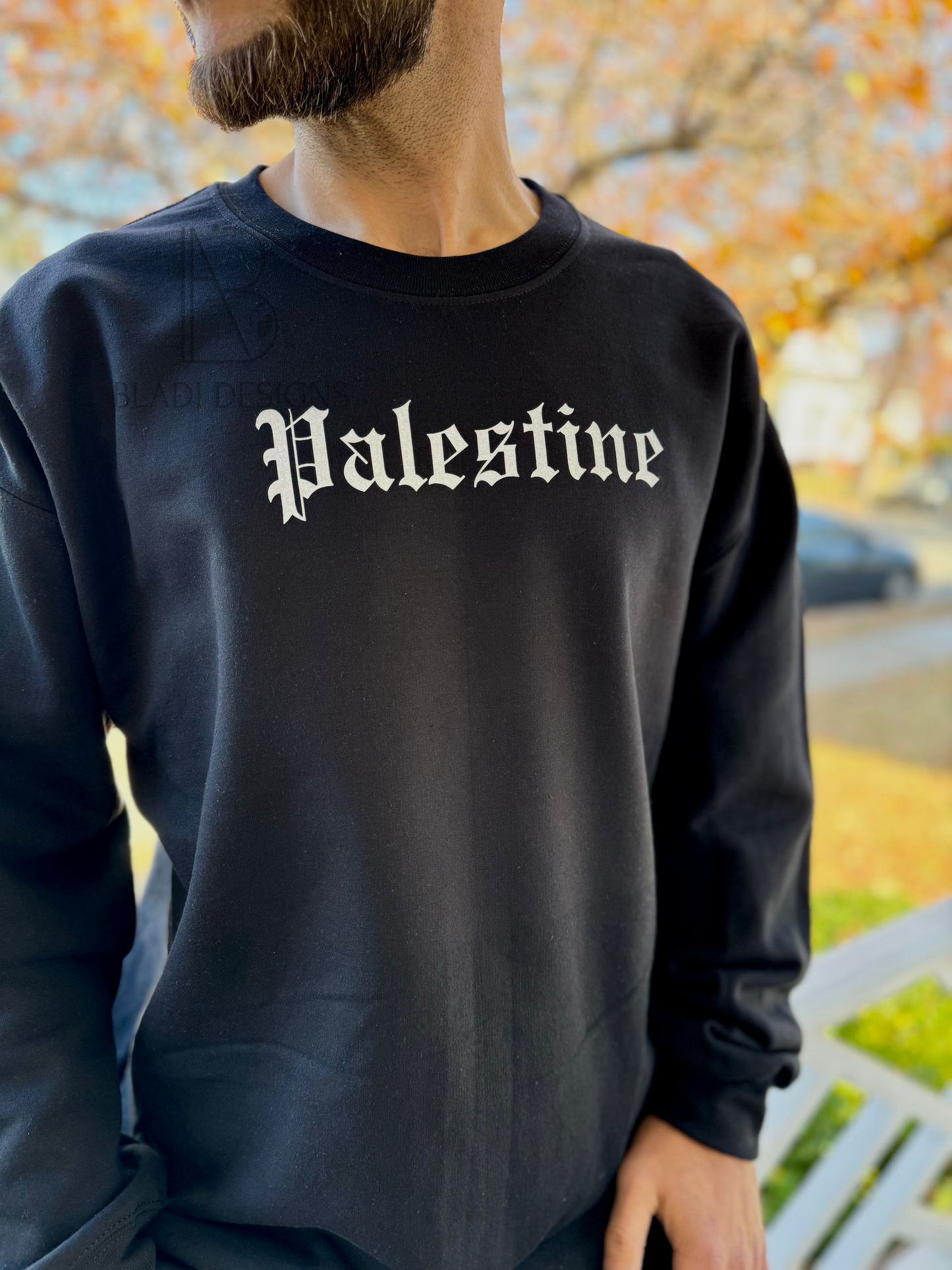 Palestine Hoodie