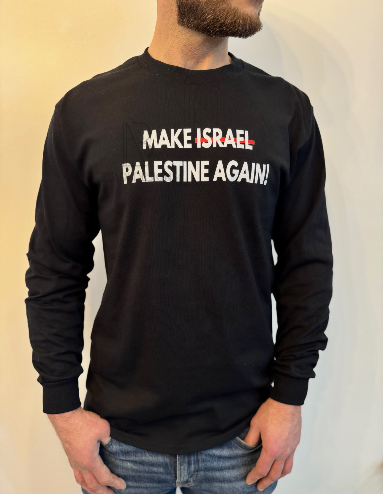 Make Israel Palestine Again Hoodie