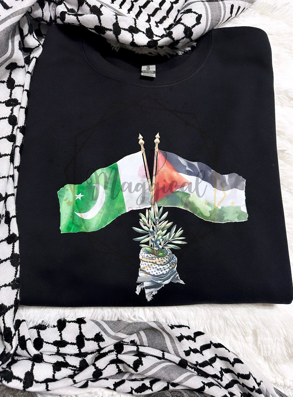 Pakistan Solidarity with Palestine Hoodie