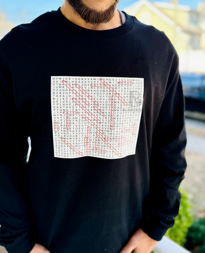 Palestine Word Search Hoodie