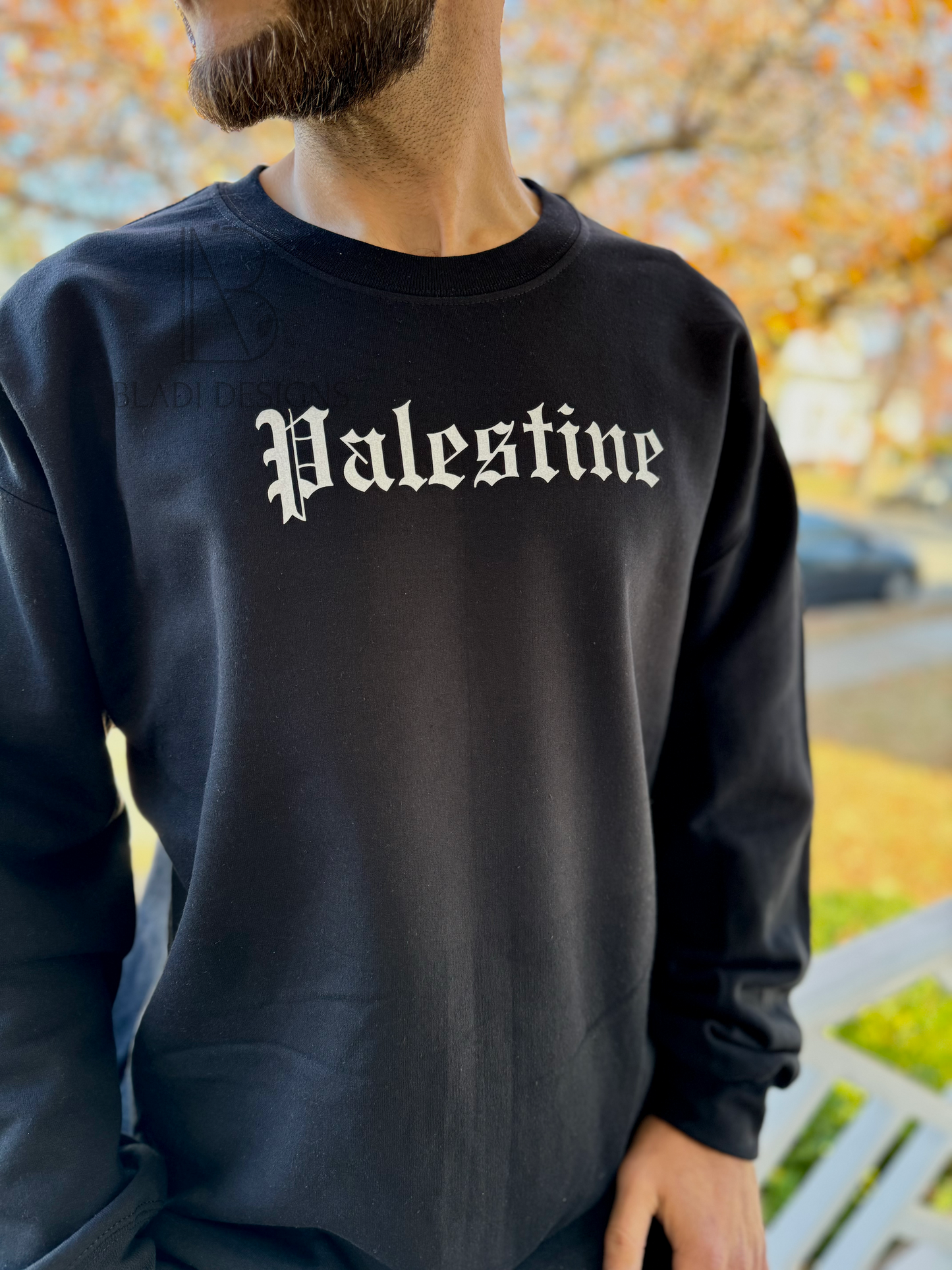 Palestine T-shirt